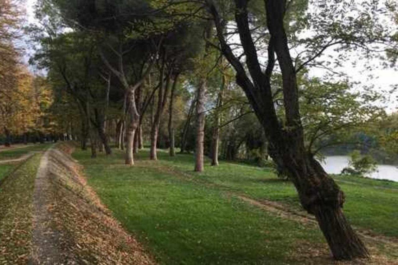 Pisa Appartamento Bonaini Esterno foto